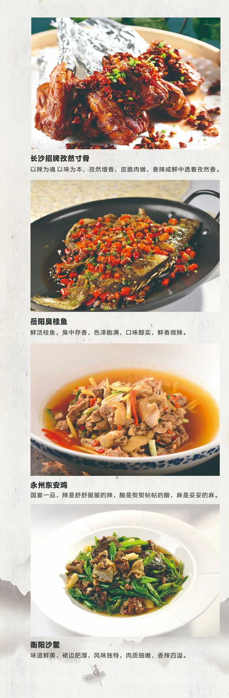 湘江春重慶店(diàn)開(kāi)業(yè)